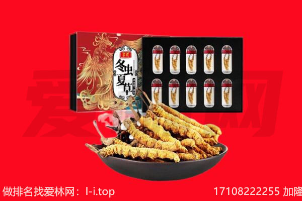 自贡回收虫草.jpg